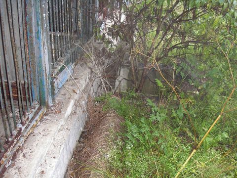 Foto 48